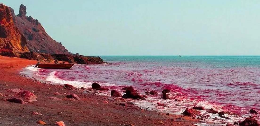 فصل بهار قشم